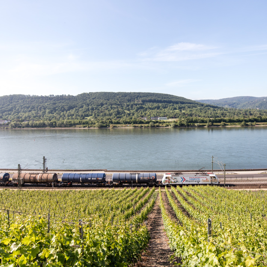 Foto eines Zuges der RheinCargo entlang des Rheins